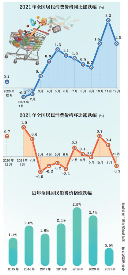 2021年双色球50期走势图深度解析，探寻数字背后的规律与趋势