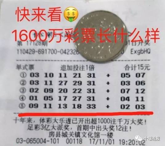 体育彩票七星彩二等奖奖金揭秘，梦想与现实的碰撞