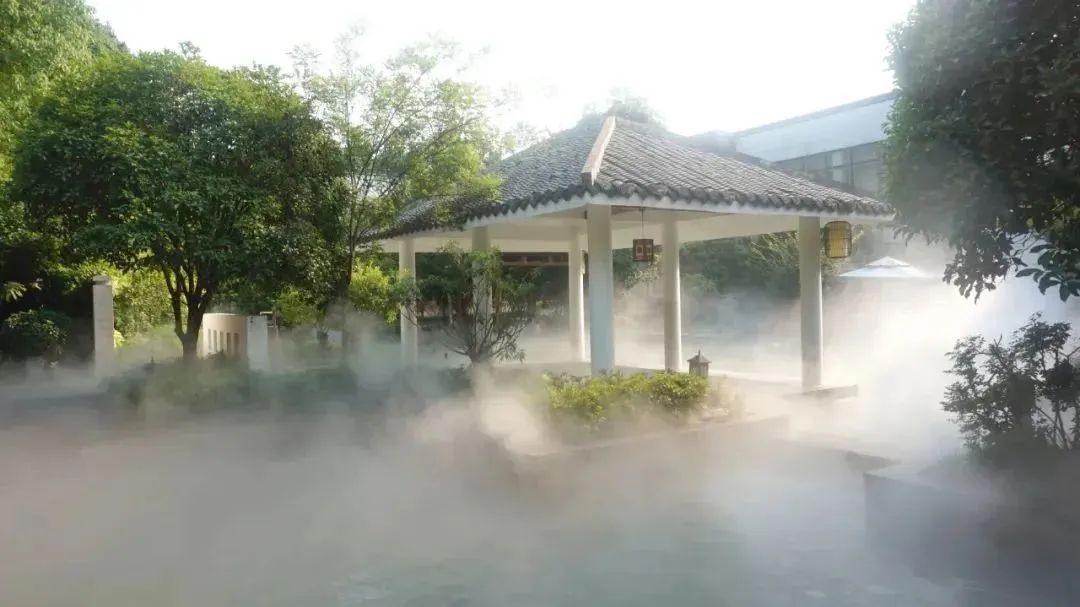 第393页