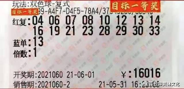 摇双色球摇奖器，公平与乐趣的完美结合