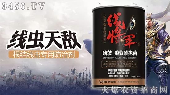 探索王中王493333中特一网，揭秘其独特亮点与魅力