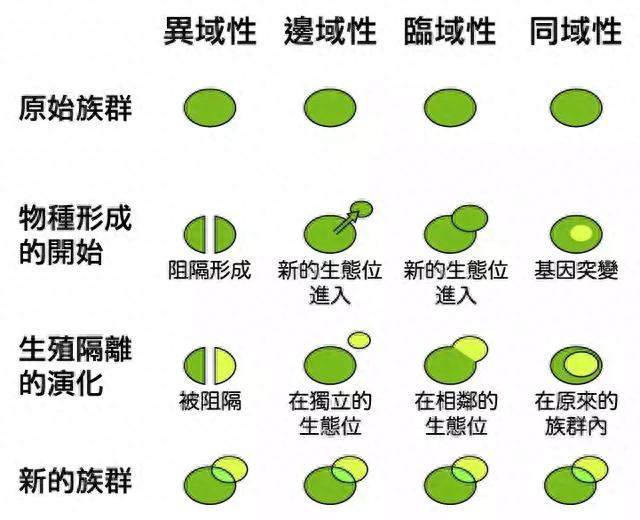 基本与全部的微妙差异，理解日常语言中的近似表达