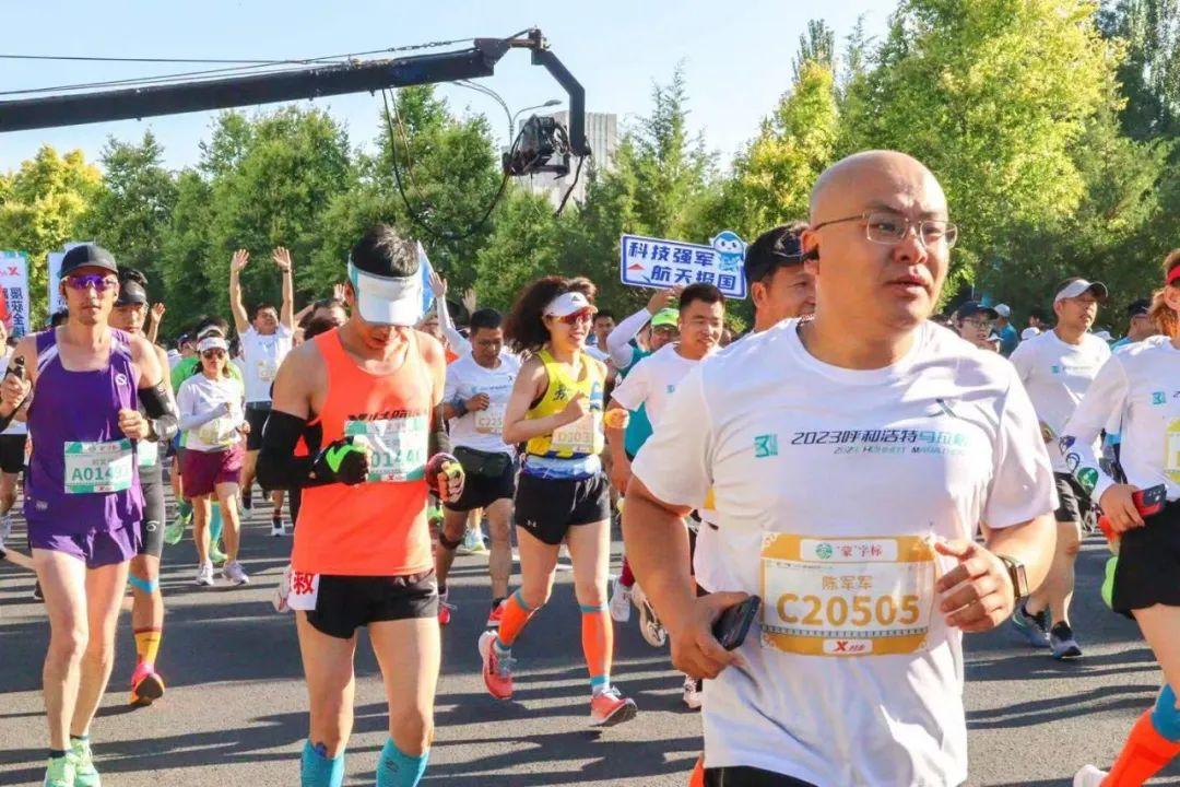 足球世界杯2023，激情与荣耀的回放