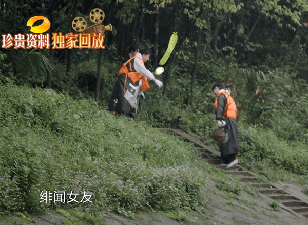 真的在播吗？是真的吗节目现状探析
