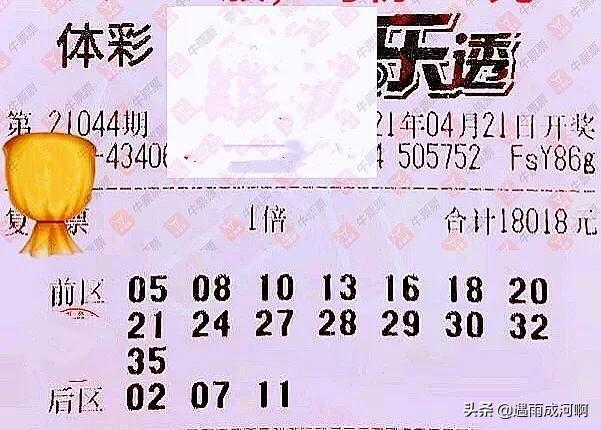 探索大乐透浙江风采网，解锁数字背后的奥秘