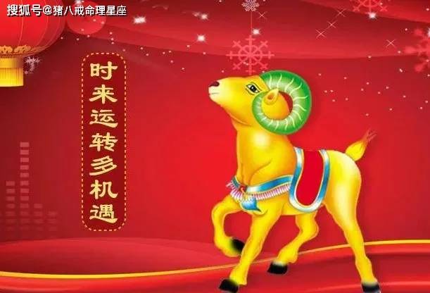 飞黄腾达，解锁3D七码两天计划，迈向成功之路