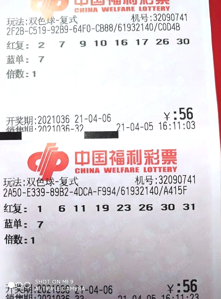 2023年双色球2023002期开奖号码揭晓，梦想与幸运的碰撞