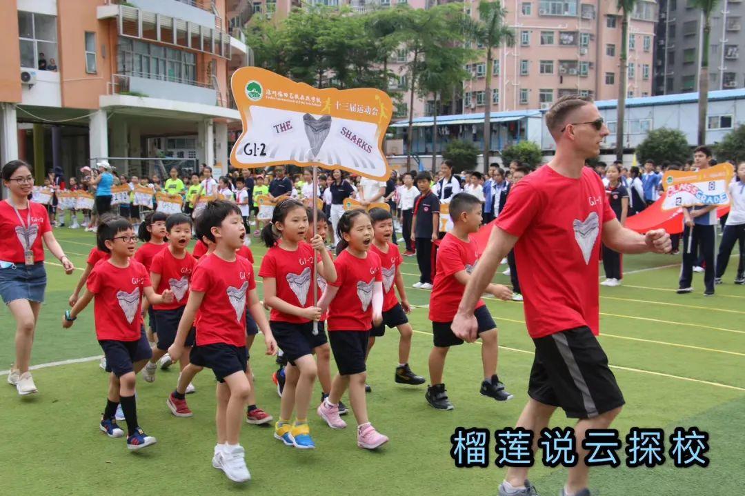 2021年73期双色球查询结果，揭秘幸运数字，共赏公益盛宴