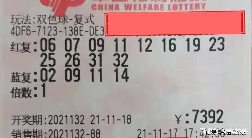 彩票背后的梦想与现实，揭秘什么彩票中奖的奥秘